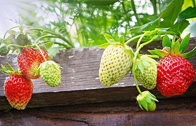 PS5全新系统正式在全球推出 SSD扩容支持提高到8TB